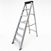 Professional Swingback Step Ladders