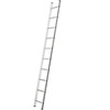 Professional Single Section Ladder
