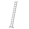 Professional Single Section Ladder