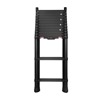 Telesteps Rescue Line Telescopic Ladder