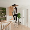 Spacemaker Loft Ladder