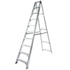 Professional Heavy Duty Swingback Steps
