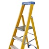 Werner 717 Fibreglass Platform Step Ladders