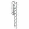 Fixed Vertical Ladder with Safety Cage
