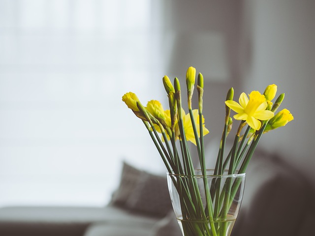 spring cleaning with ladders from LUKD