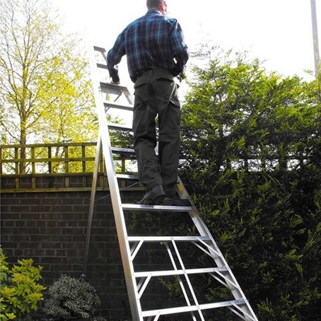 Garden ladder