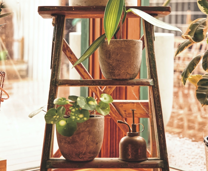 plant ladder stand decor