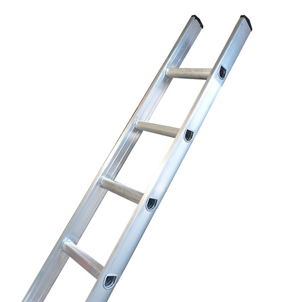 Single ladder