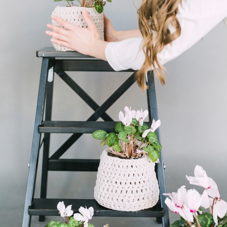 Upcycled step ladder with flower pots