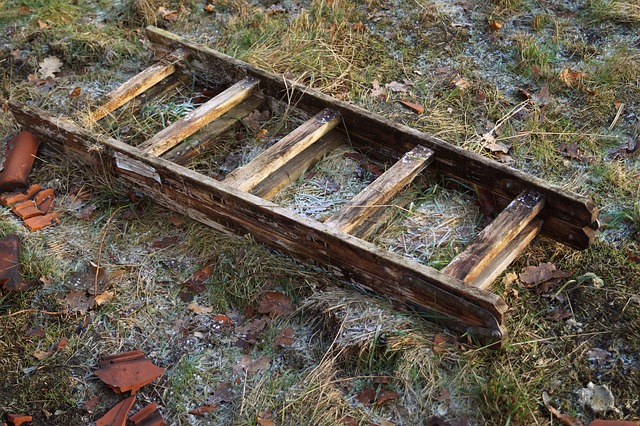 Wooden ladder rotting on the ground