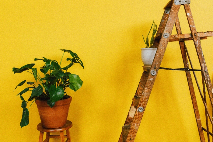 ladder with plant decor on yellow background