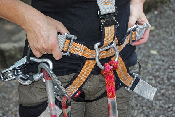 ladder safety harness